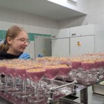 KOŚCIELISKO 2023 - PRAKTYKI ZAWODOWE UCZNIÓW NASZEJ SZKOŁY KSZTAŁCĄCYCH SIĘ W ZAWODZIE TECHNIK ORGANIZACJI TURYSTYKI KOŚCIELISKO 2023 - PRAKTYKI ZAWODOWE UCZNIÓW NASZEJ SZKOŁY KSZTAŁCĄCYCH SIĘ W ZAWODZIE TECHNIK ORGANIZACJI TURYSTYKI