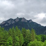 „Tylko ten, kto wędruje, odnajduje nowe ścieżki”