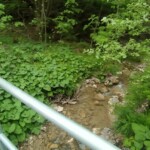 „Tylko ten, kto wędruje, odnajduje nowe ścieżki”
