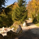 Wycieczka krajoznawcza – PORONIN 2025
