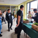 #sadziMY – ogólnopolska akcja sadzenia drzew