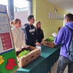 #sadziMY – ogólnopolska akcja sadzenia drzew