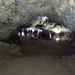 Uczniowie klasy 4EŻP oraz przedstawiciele Samorządu Uczniowskiego na wycieczce