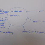 Szkolny Wolontariat „Pomocna dłoń”