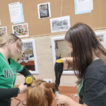 Kurs zawodowy - fryzjer