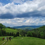 „Tylko ten, kto wędruje, odnajduje nowe ścieżki”