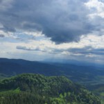 „Tylko ten, kto wędruje, odnajduje nowe ścieżki”