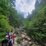 „Tylko ten, kto wędruje, odnajduje nowe ścieżki”