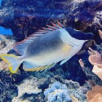 XLIX Finał Centralny OMTTK PTTK 2023 w Rumi