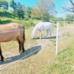 XLIX Finał Centralny OMTTK PTTK 2023 w Rumi