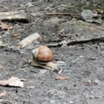 „Tylko ten, kto wędruje, odnajduje nowe ścieżki”