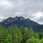 „Tylko ten, kto wędruje, odnajduje nowe ścieżki”