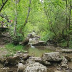 „Tylko ten, kto wędruje, odnajduje nowe ścieżki”