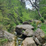 „Tylko ten, kto wędruje, odnajduje nowe ścieżki”