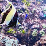 XLIX Finał Centralny OMTTK PTTK 2023 w Rumi