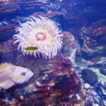 XLIX Finał Centralny OMTTK PTTK 2023 w Rumi