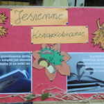 Akcja czytelnicza Jesienne książkobranie