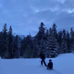 Praktyka zawodowa w AMW Rewita - Zakopane 2024