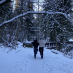 Praktyka zawodowa w AMW Rewita - Zakopane 2024