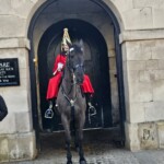 UCZNIOWIE STASZICA ZDOBYWAJĄ LONDYN