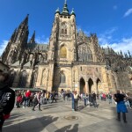 Jeśli wycieczki – to tylko w Staszicu