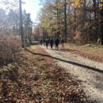 NORDIC WALKING – spacer dla zdrowia