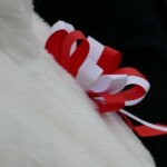 Narodowe Święto Niepodległości w Staszicu