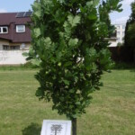 Rok 2025 Rokiem Katyńskim