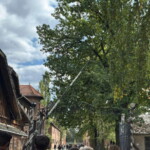 Wycieczka Oświęcim-Kraków