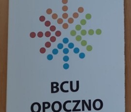 Wypalona płytka Wypalona płytka